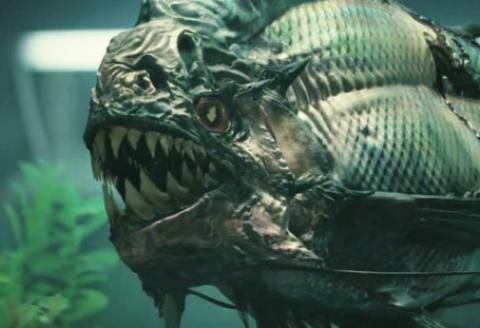 فيلم Piranha 3 مترجم HD سمكة البيرانا الجزء الثالث