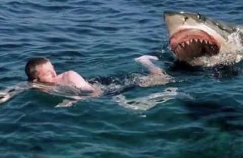 فيلم Jaws 3 مترجم اون لاين HD الفك المفترس 3 1983