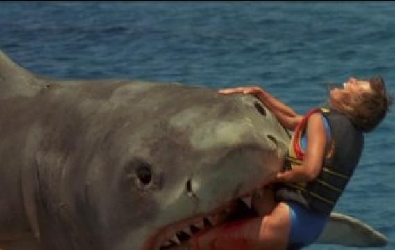 فيلم Jaws 4 مترجم اون لاين HD الفك المفترس 4 1987